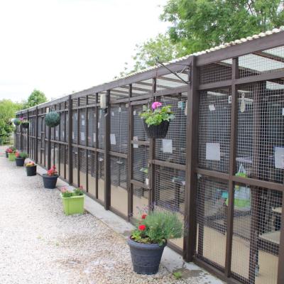 Appleby Country Cattery Chalet Block